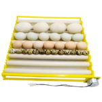 Bandeja de Volteo de Huevos con Motor automatico, XM23
