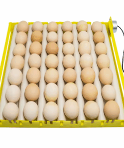 Bandeja de Volteo de Huevos con Motor automatico, XM22