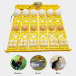 Bandeja de Volteo de 36 Huevos con Motor automatico, XM33C