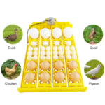 Bandeja de Volteo de 24 Huevos con Motor automatico, XM34C