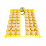 Bandeja Automática Para 48 Huevos De Gallina 220VAC